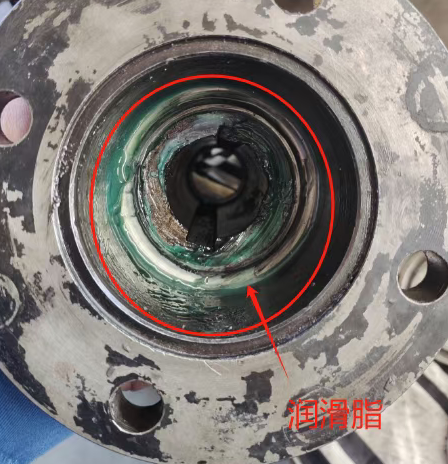 图片关键词